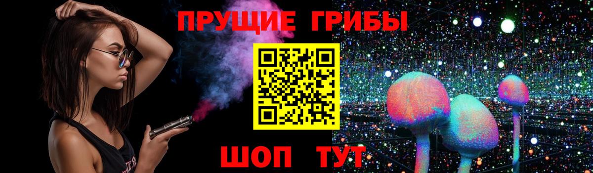 Псилоцибиновые грибы мицелий Оренбург