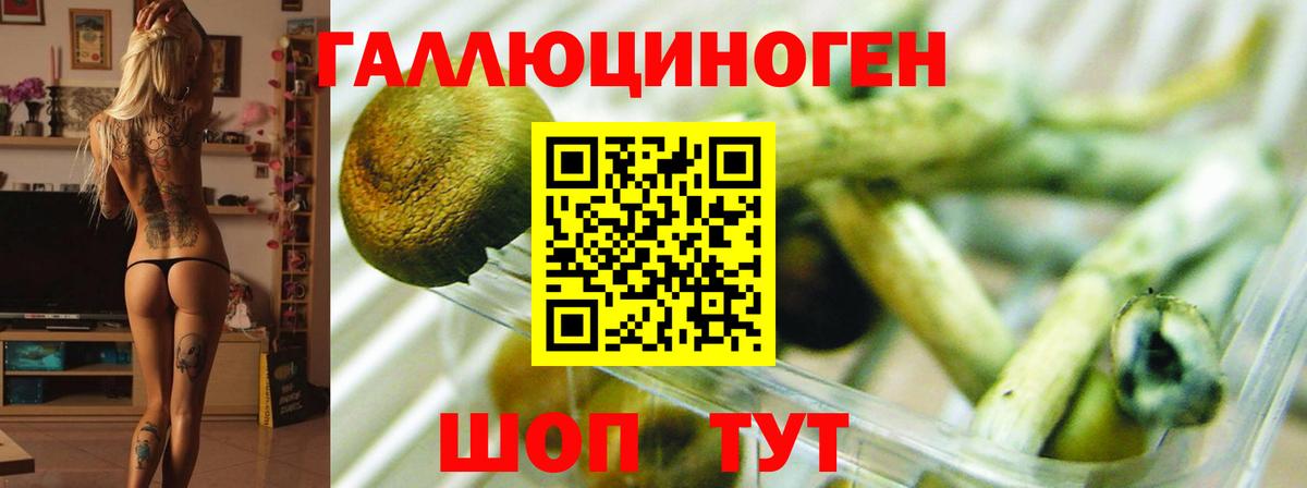 ЭКСТАЗИ Оренбург